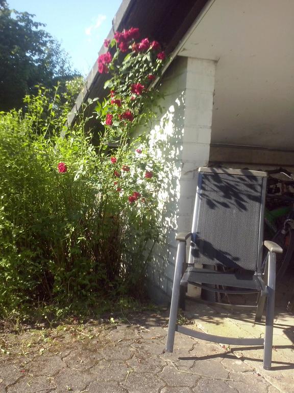 Ferienwohnung Daehne Allagen Экстерьер фото